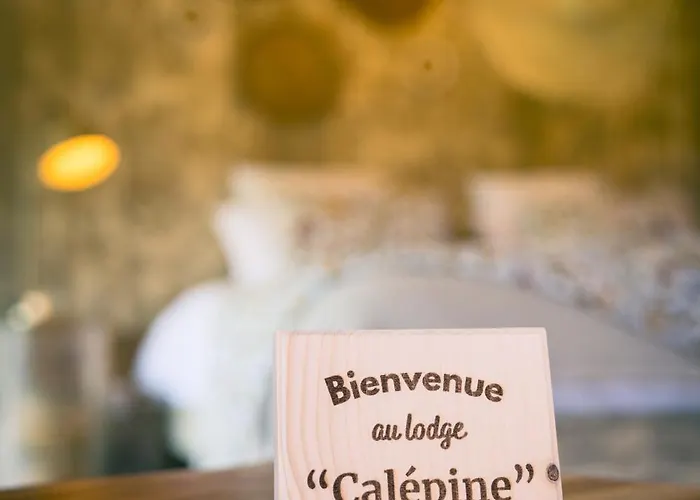 Campismo de Luxo And Me Glamping *